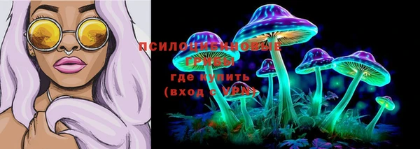 гидра Липки