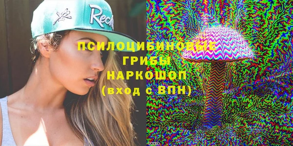 гидра Липки