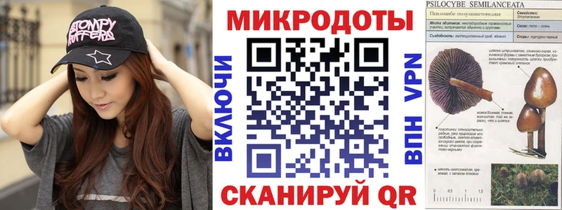 Галлюциногенные грибы мицелий  продажа наркотиков  Новоржев 