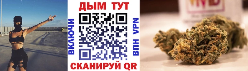 Каннабис индика  как найти наркотики  Новоржев 